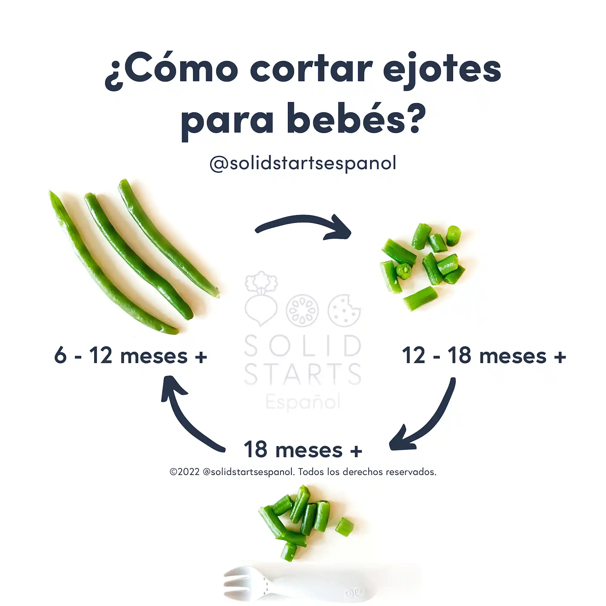 ¿Pueden comer ejotes los bebés? Solid Starts