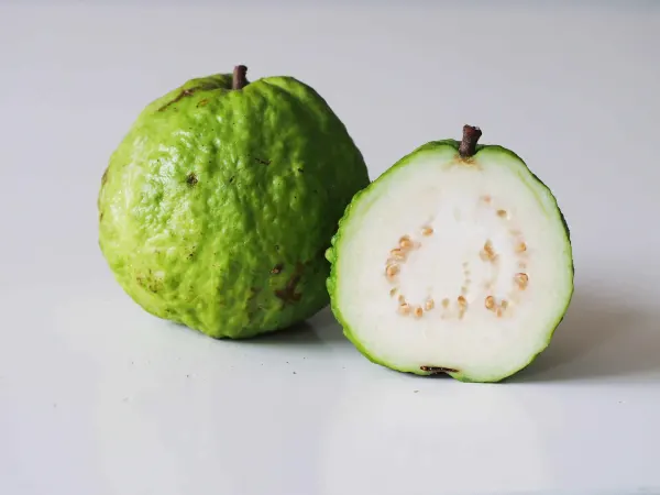 A white guava from thailand cut in half before being prepared for babies starting solids