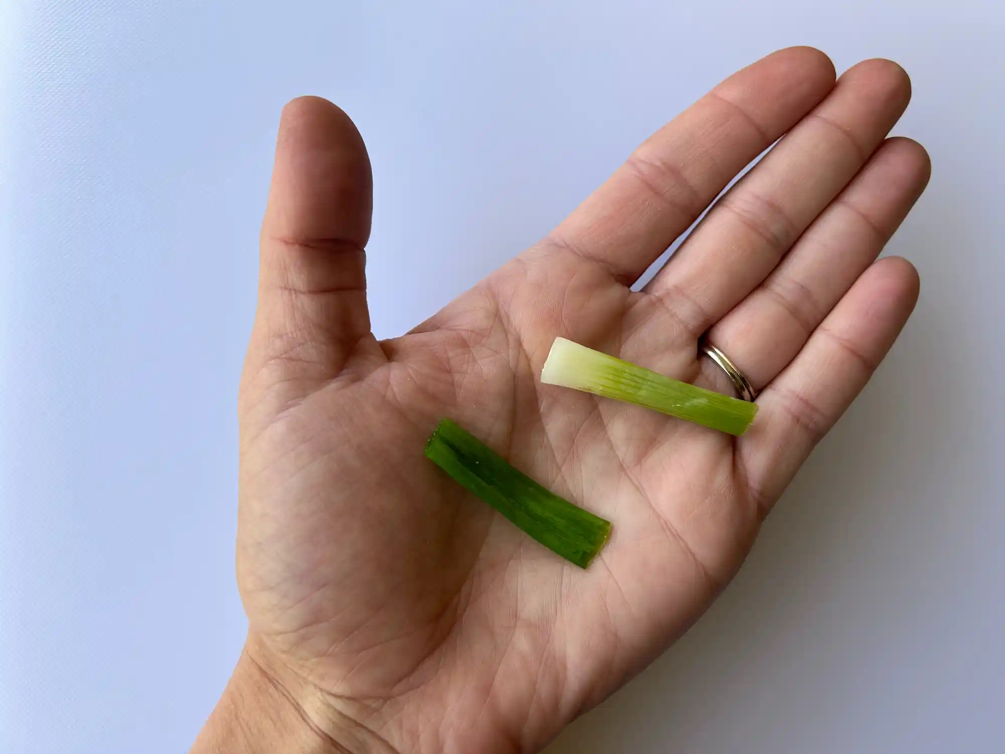 a photo of a hand holding two long cooked sections of scallion