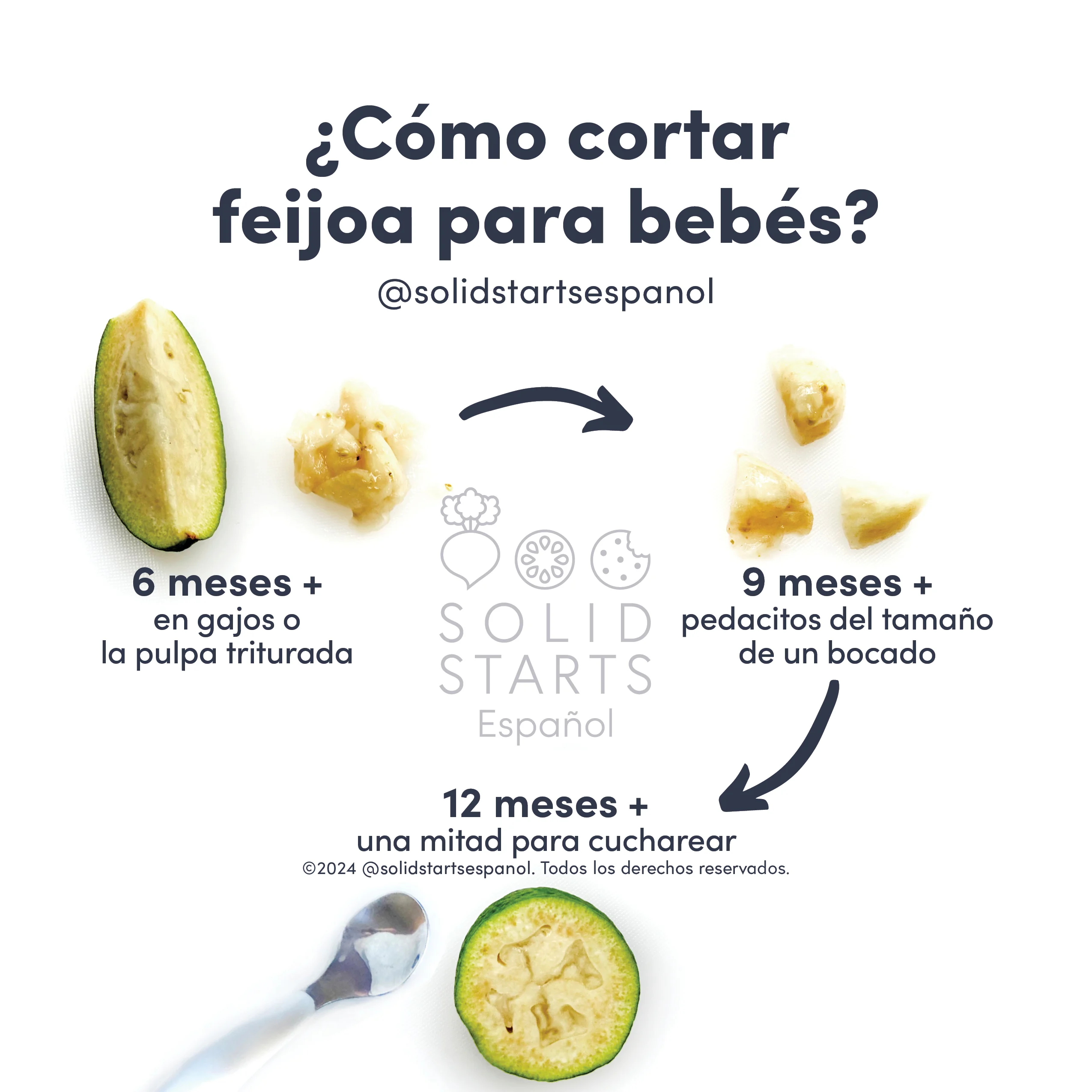 a Solid Starts infographic with the title How to Cut Feijoa for Babies: large wedge or mashed pulp for 6 mos+, bite-sized pieces for 9 mos+, and half for scooping for 12 mos+