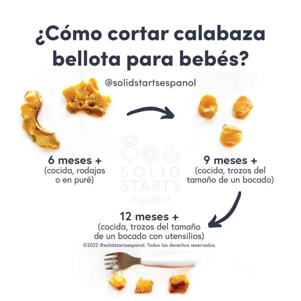 a Solid Starts infographic with the header How to Serve Acorn Squash to Babies: cooked handles or mashed for 6 months+, cooked bite size pieces for 9 months+, and cooked bite size pieces with utensil for 12 months+