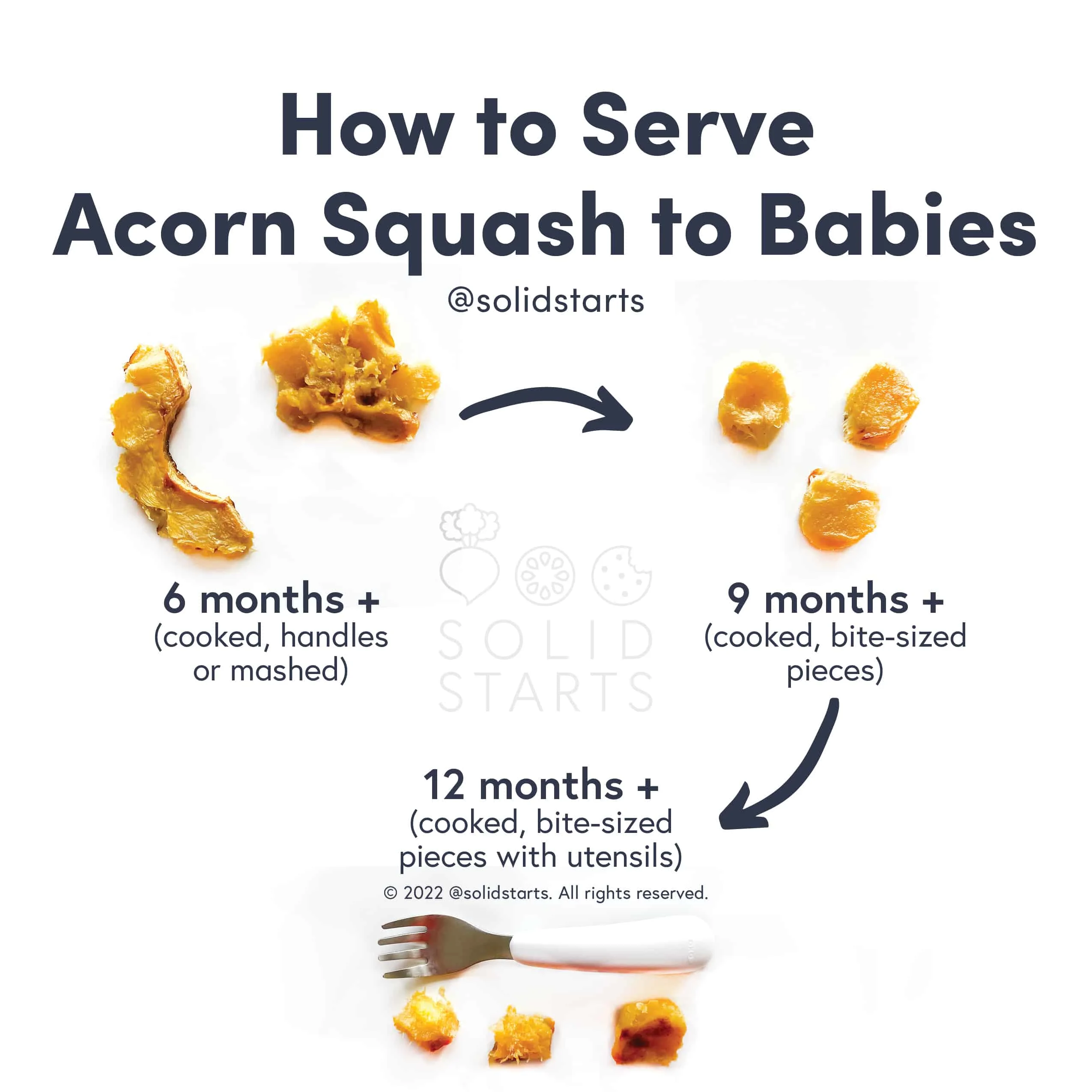 a Solid Starts infographic with the header How to Serve Acorn Squash to Babies: cooked handles or mashed for 6 months+, cooked bite size pieces for 9 months+, and cooked bite size pieces with utensil for 12 months+