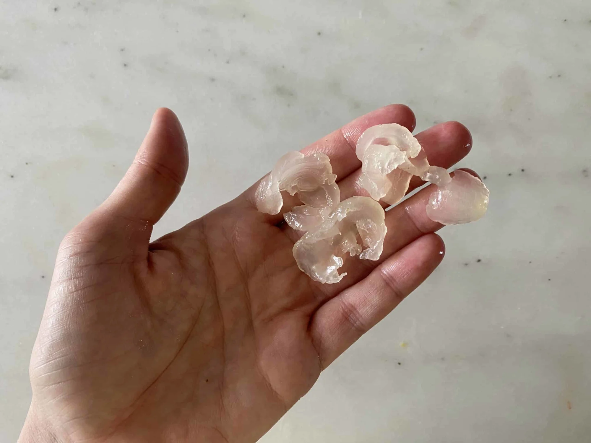 a hand holding pieces of finely chopped fresh longan for babies starting solids