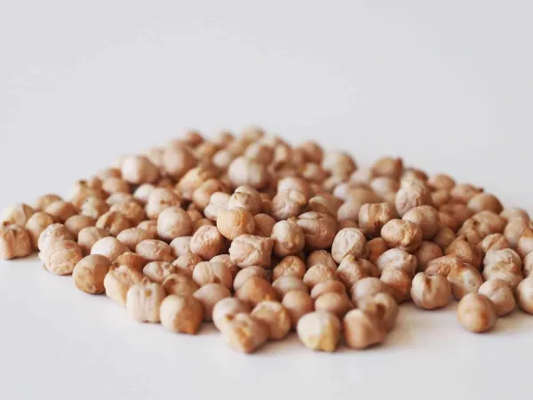 a pile of dried chickpeas before being prepared for babies starting solid food