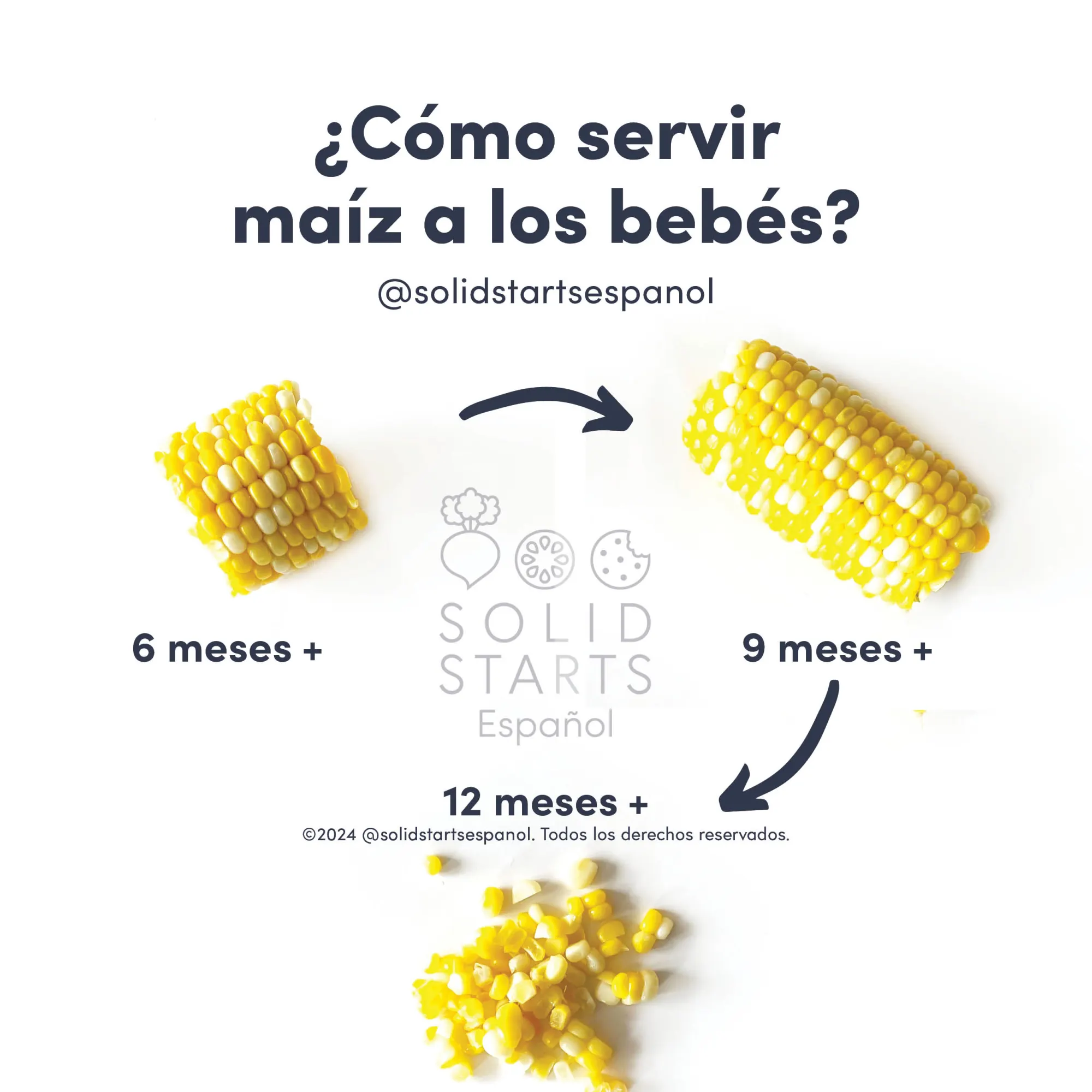 a Solid Starts infographic with the header How to Serve Corn to Babies: a small section of cob for 6-8 mos, a larger section for 9 months+, and loose kernels for 12 months+
