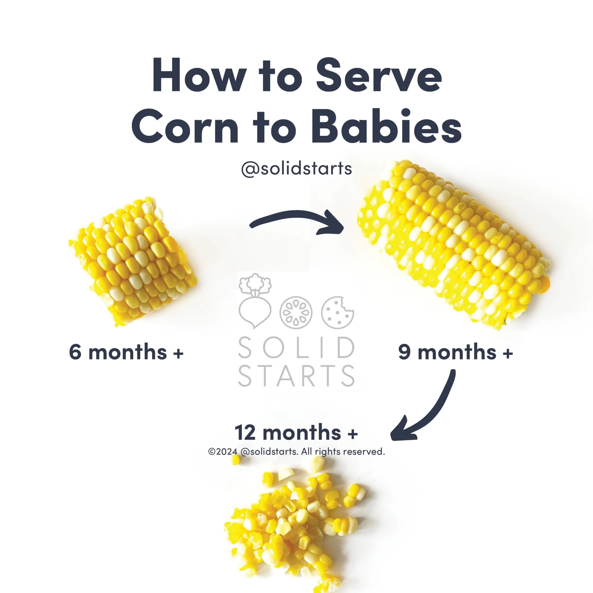 a Solid Starts infographic with the header How to Serve Corn to Babies: a small section of cob for 6-8 mos, a larger section for 9 months+, and loose kernels for 12 months+