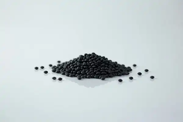 a photograph of a small pile of raw black lentils