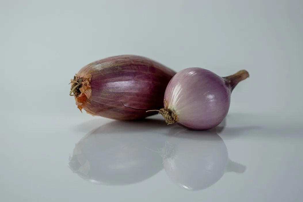 a photograph of two whole raw shallots on a white background