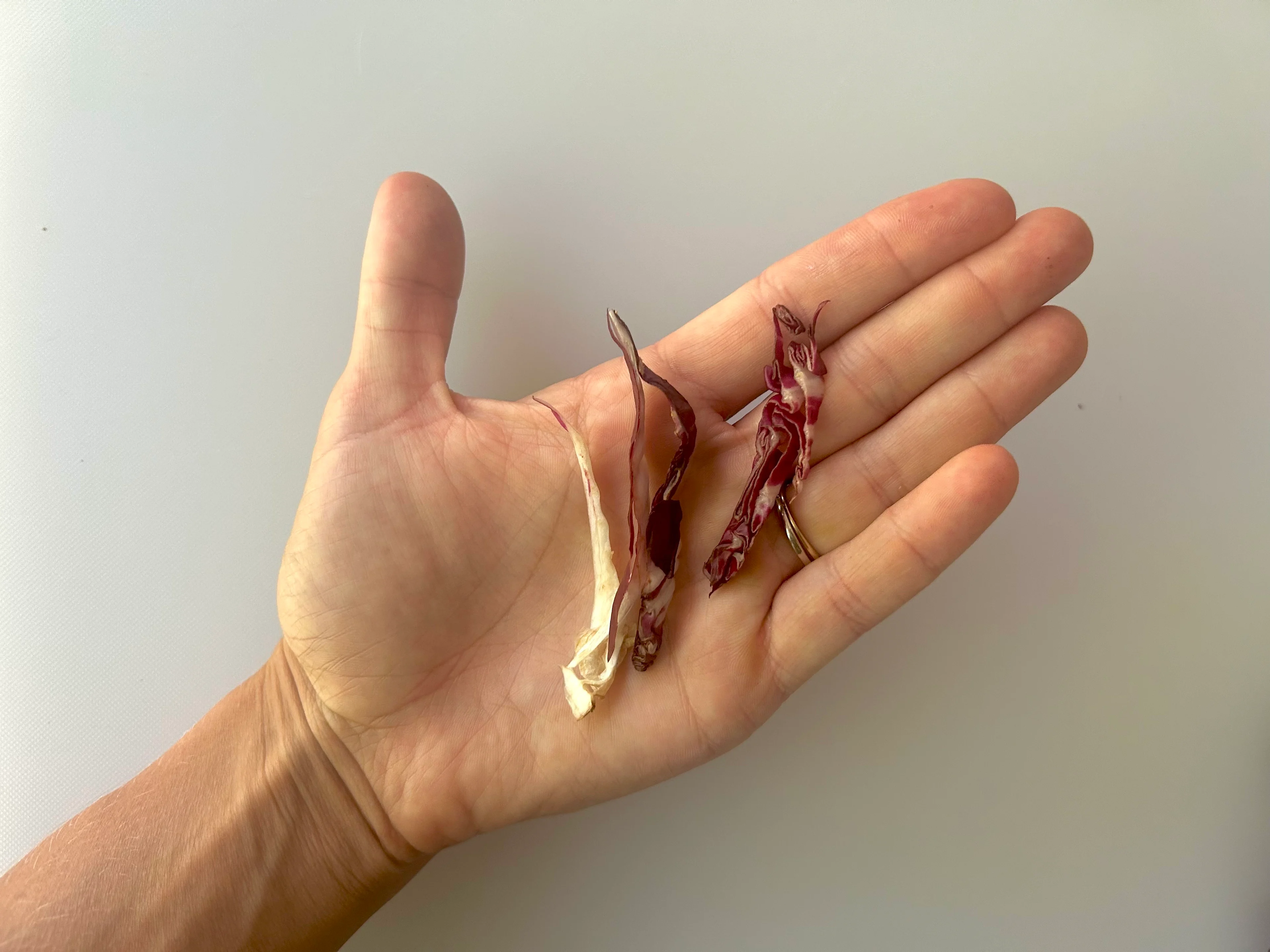 Radicchio thin raw slices hand pic