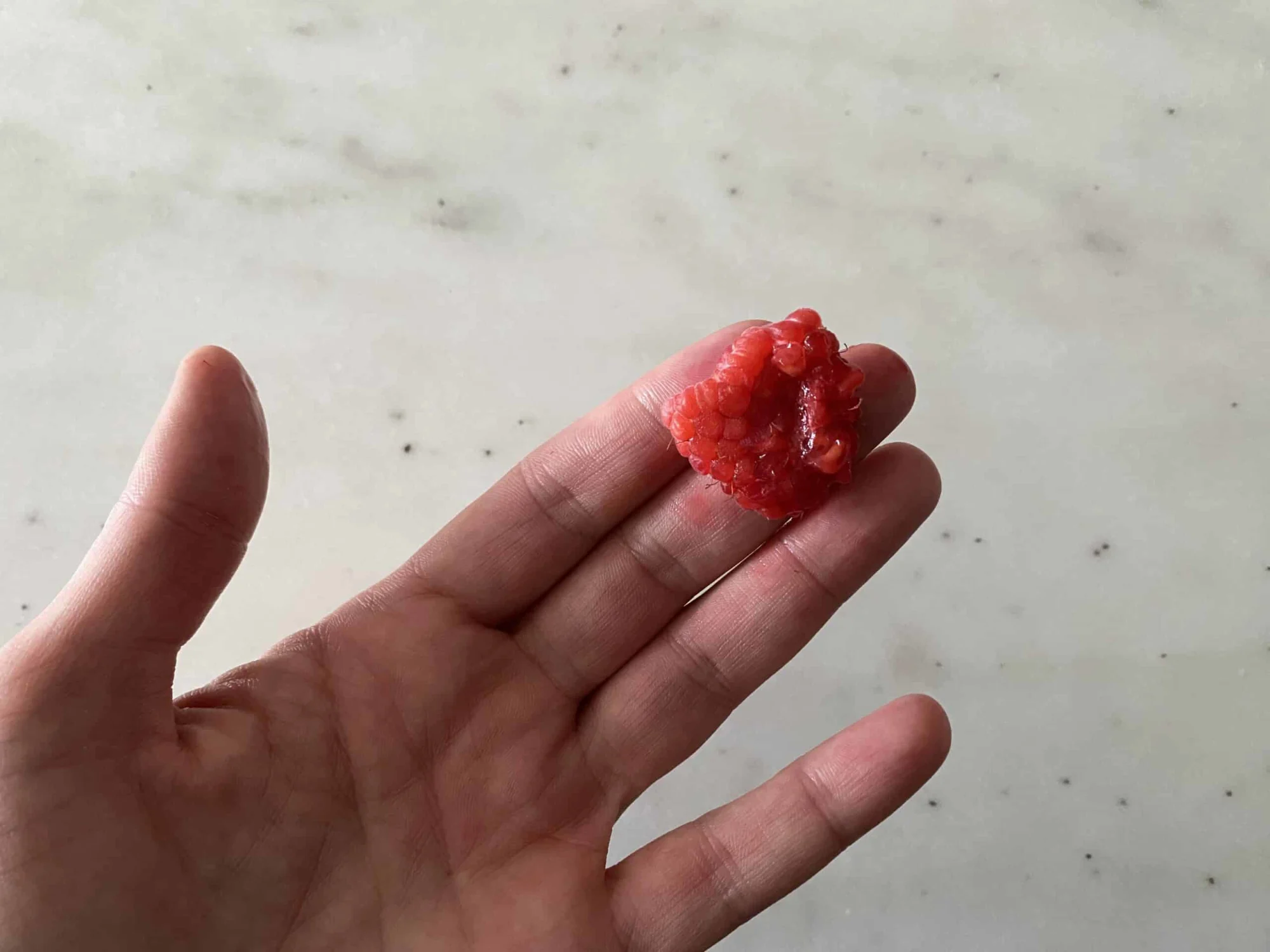 A hand holding a flattened raspberry for babies 6 months+