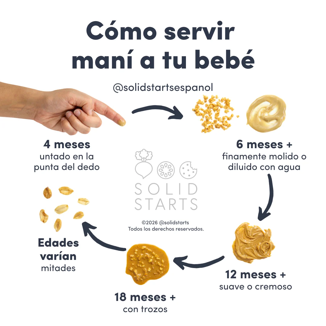 a Solid Starts infographic with the header How to Serve Peanut to Babies: thinned peanut butter on your fingertip for 4 mos, finely ground peanut or thinned peanut butter for 6 mos+, smooth or creamy peanut butter for 12 mos+, chunky peanut butter for 18 
