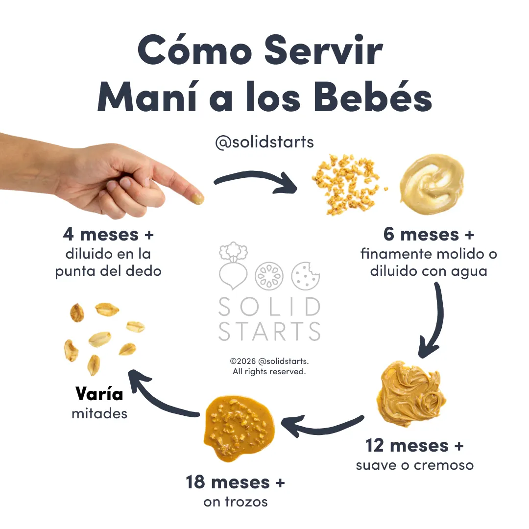 a Solid Starts infographic with the header How to Serve Peanut to Babies: thinned peanut butter on your fingertip for 4 mos, finely ground peanut or thinned peanut butter for 6 mos+, smooth or creamy peanut butter for 12 mos+, chunky peanut butter for 18 