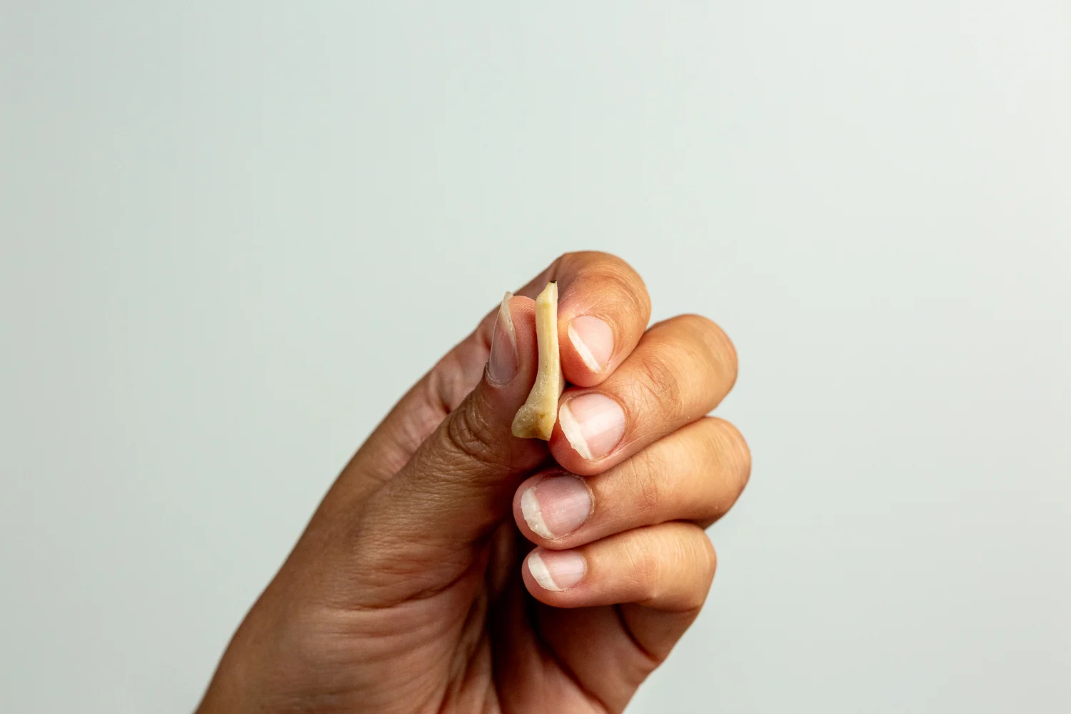 Straw mushroom thin slice 
