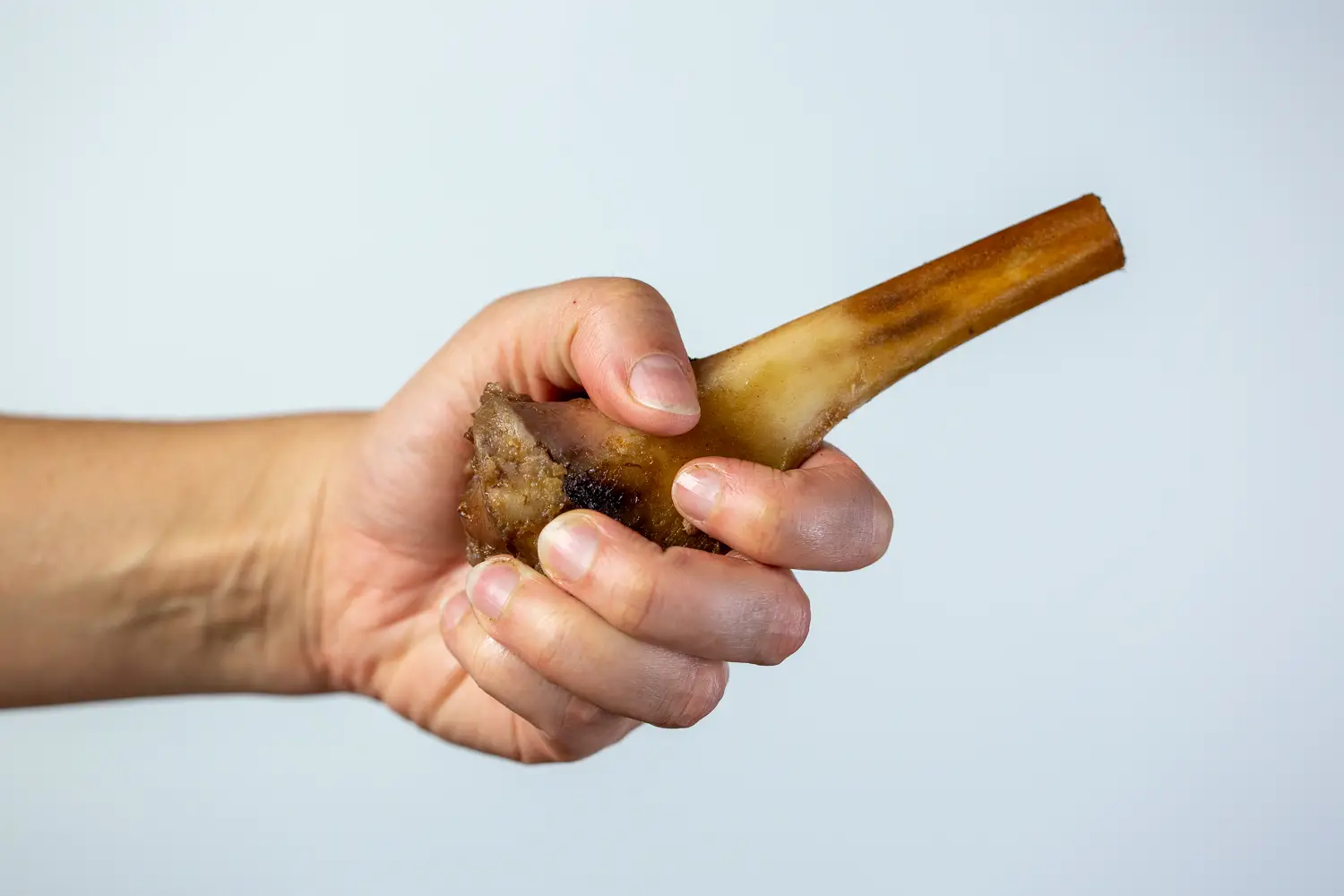 a hand gripping a bone-in lamb chop with meat removed