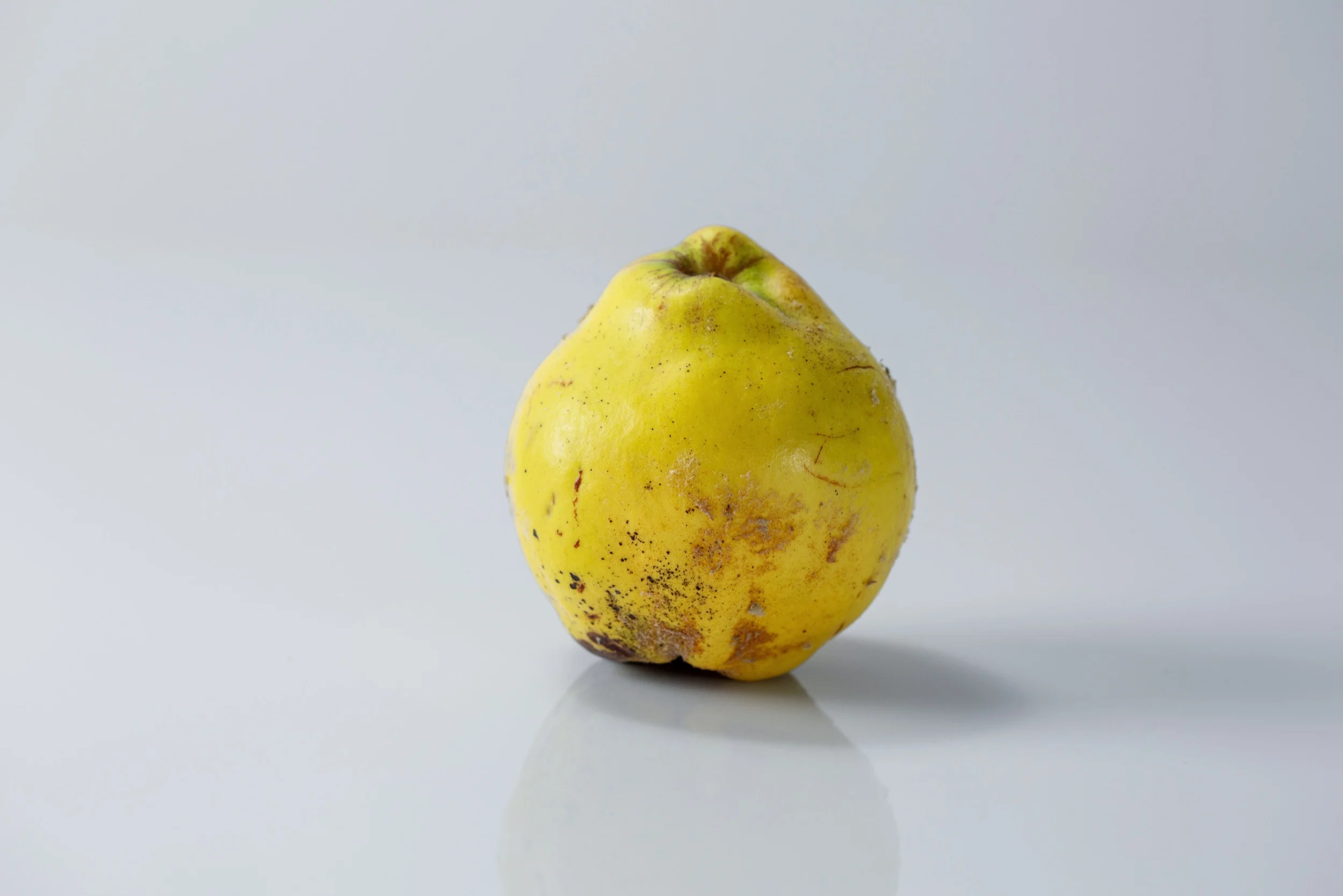 a whole, raw quince ready to be prepared for babies starting solids