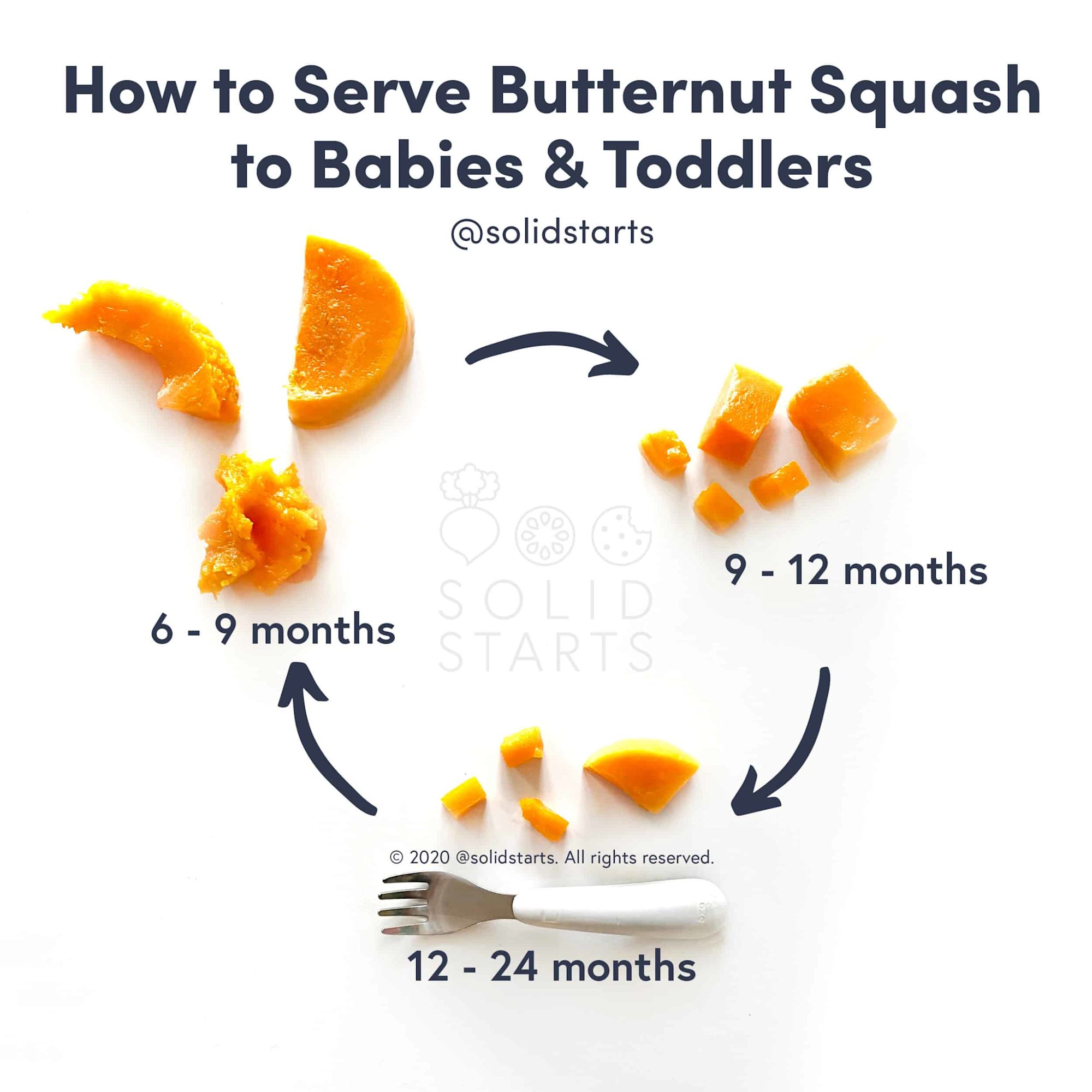 Butternut Squash for BabiesServe Butternut Squash to Baby Solid Starts
