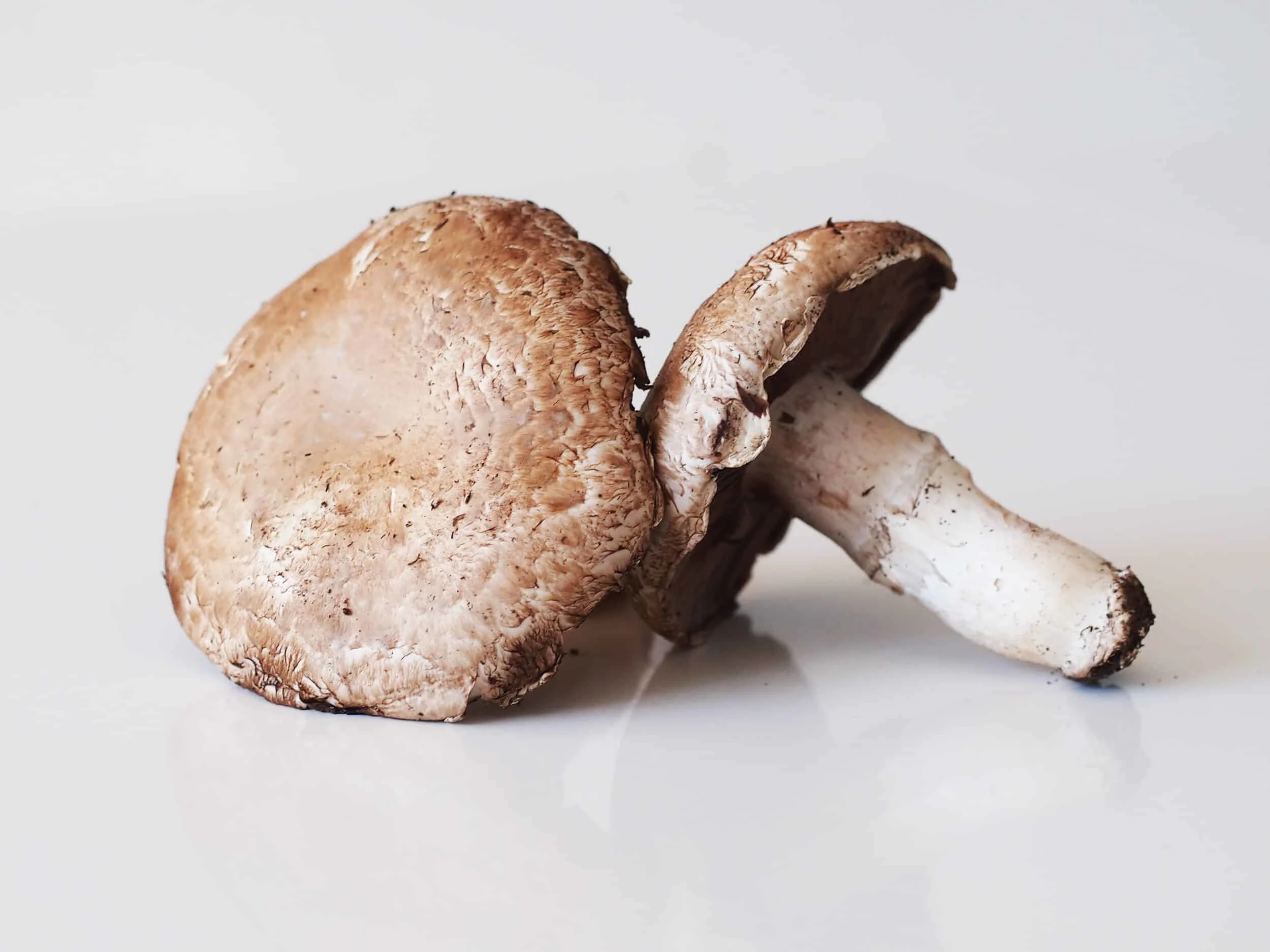 two portobello mushrooms before being prepared for babies starting solids