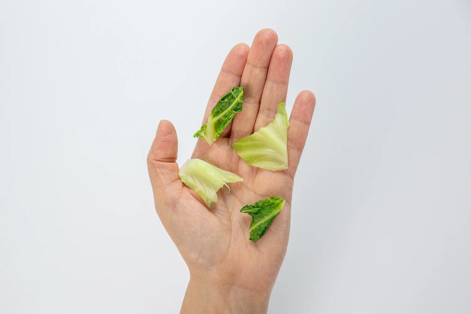 Cabbage cooked pieces hand pic