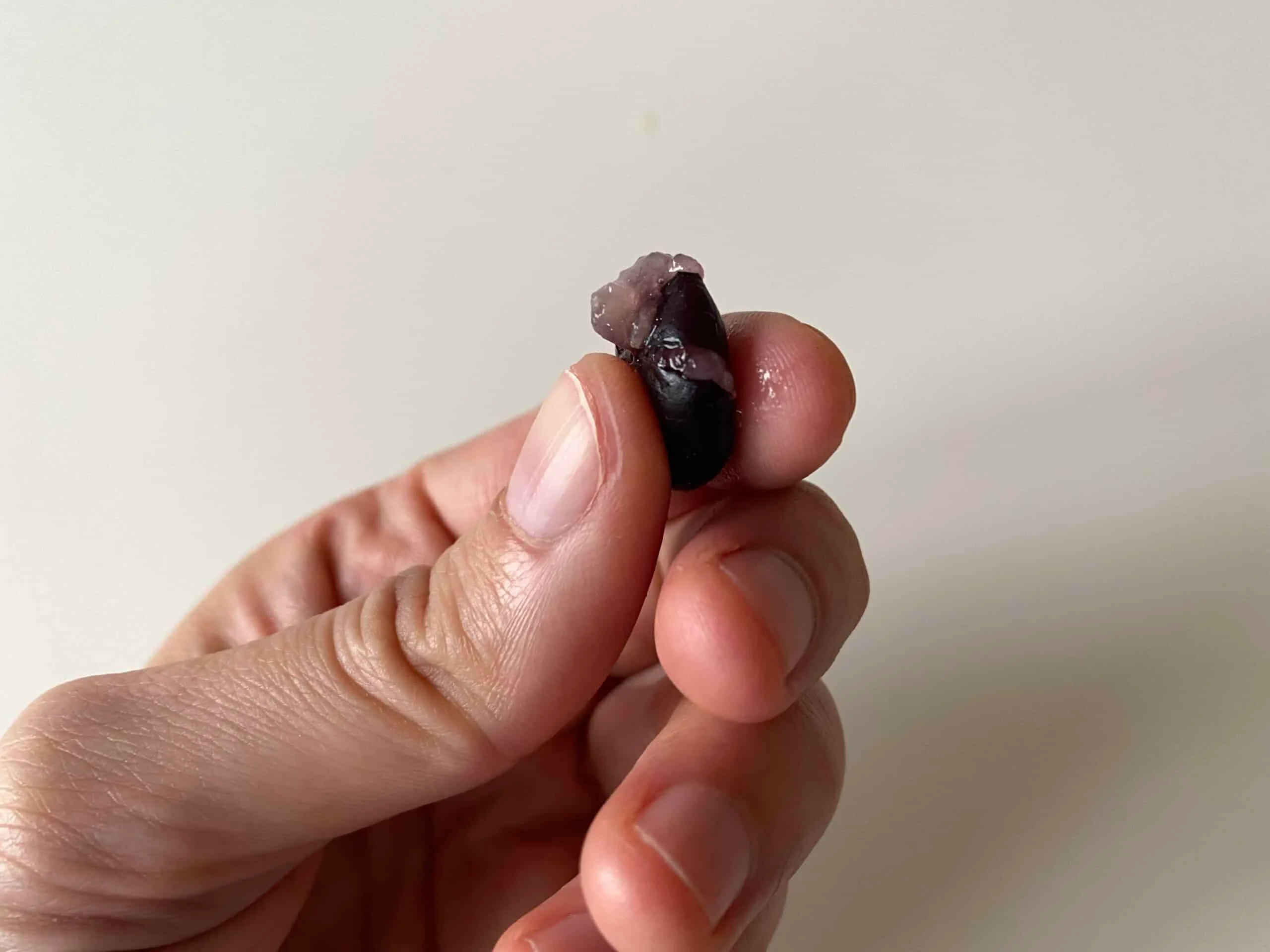 Flattened Blueberry for Babies