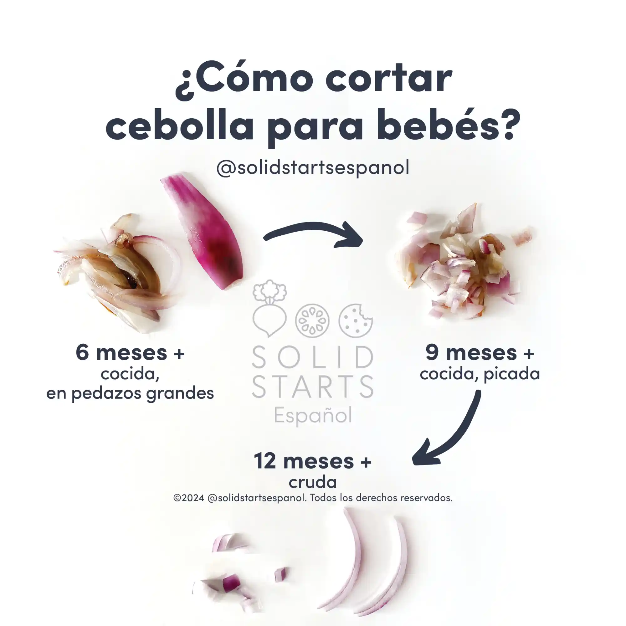 an infographic with the header "how to cut onion for babies": large cooked slices for 6 mos+, cooked chopped for 9 mos+, raw finely chopped or thinly sliced for 12 mos+