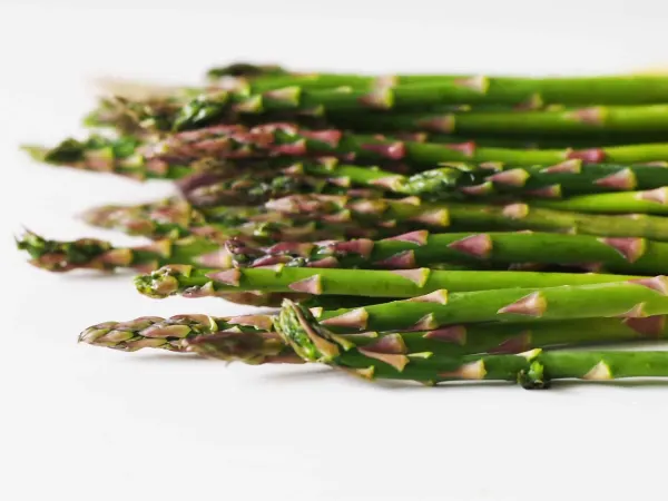 a bunch of green asparagus spears before being prepared for babies starting solid food