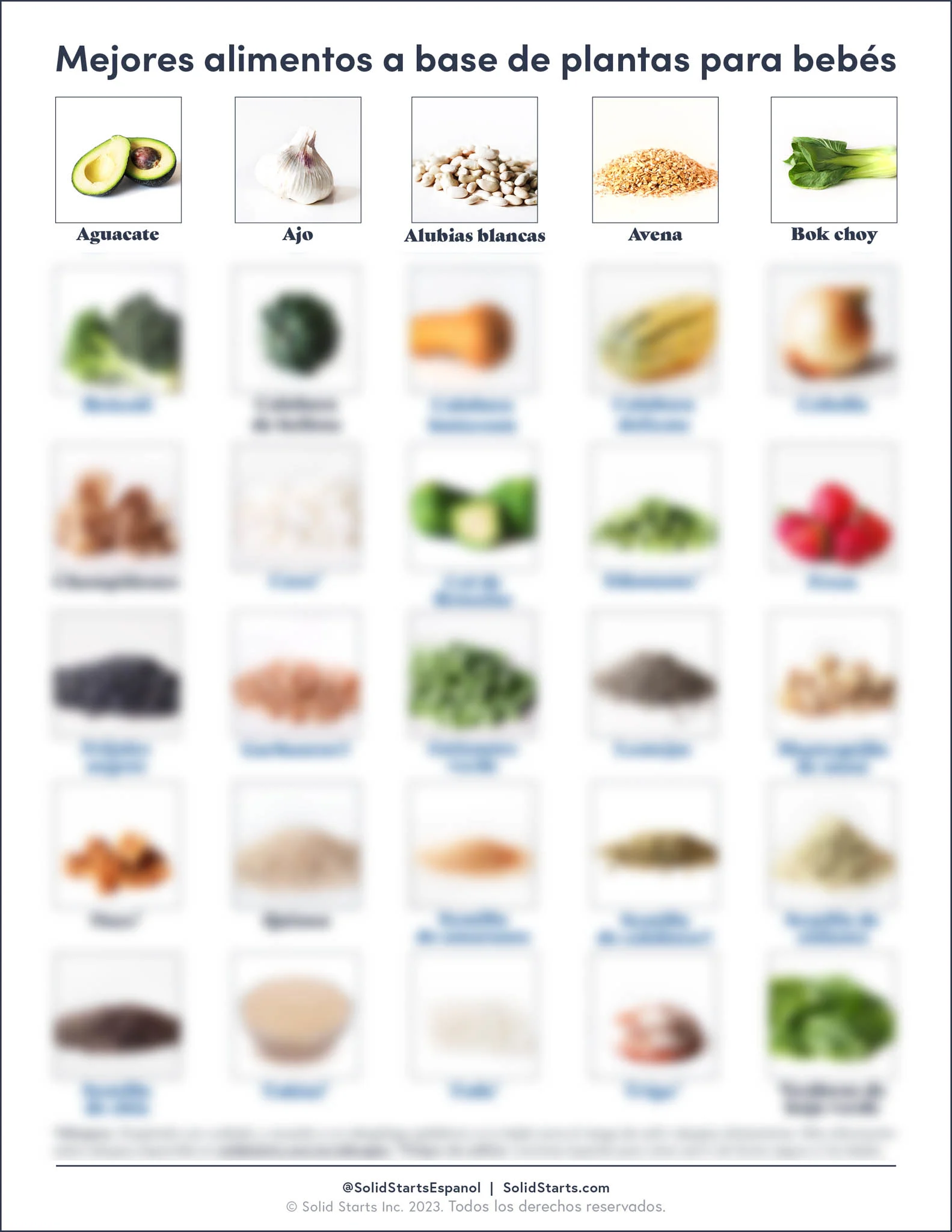 blurred preview image of the Solid Starts Plant-Based guide