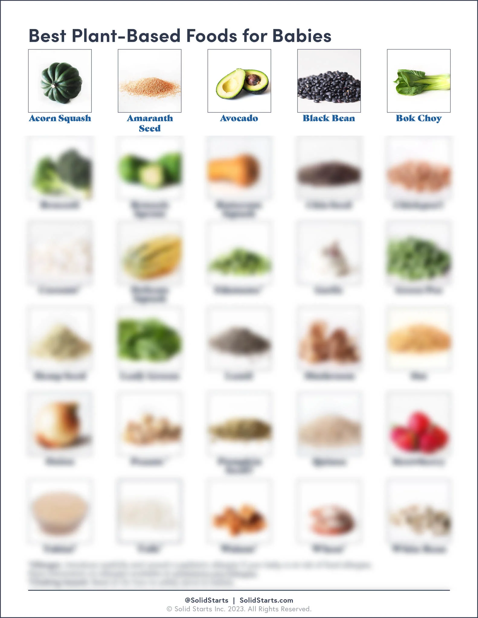 blurred preview image of the Solid Starts Plant-Based guide