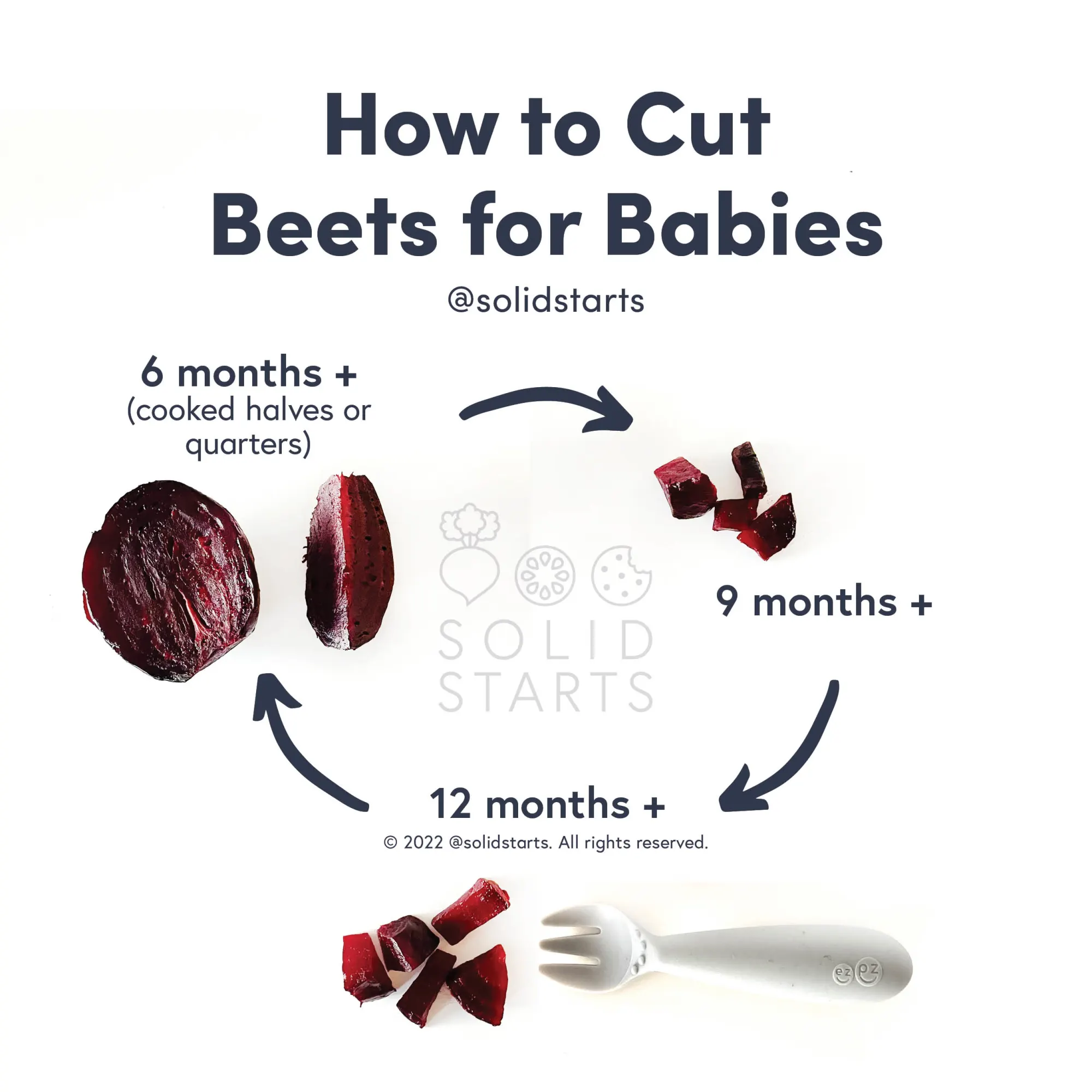 an infographic with the header "how to cut beets for babies": large cooked halves or quarters for 6 months+, quarters for 9 months+, and bite-sized pieces for children 12 months+
