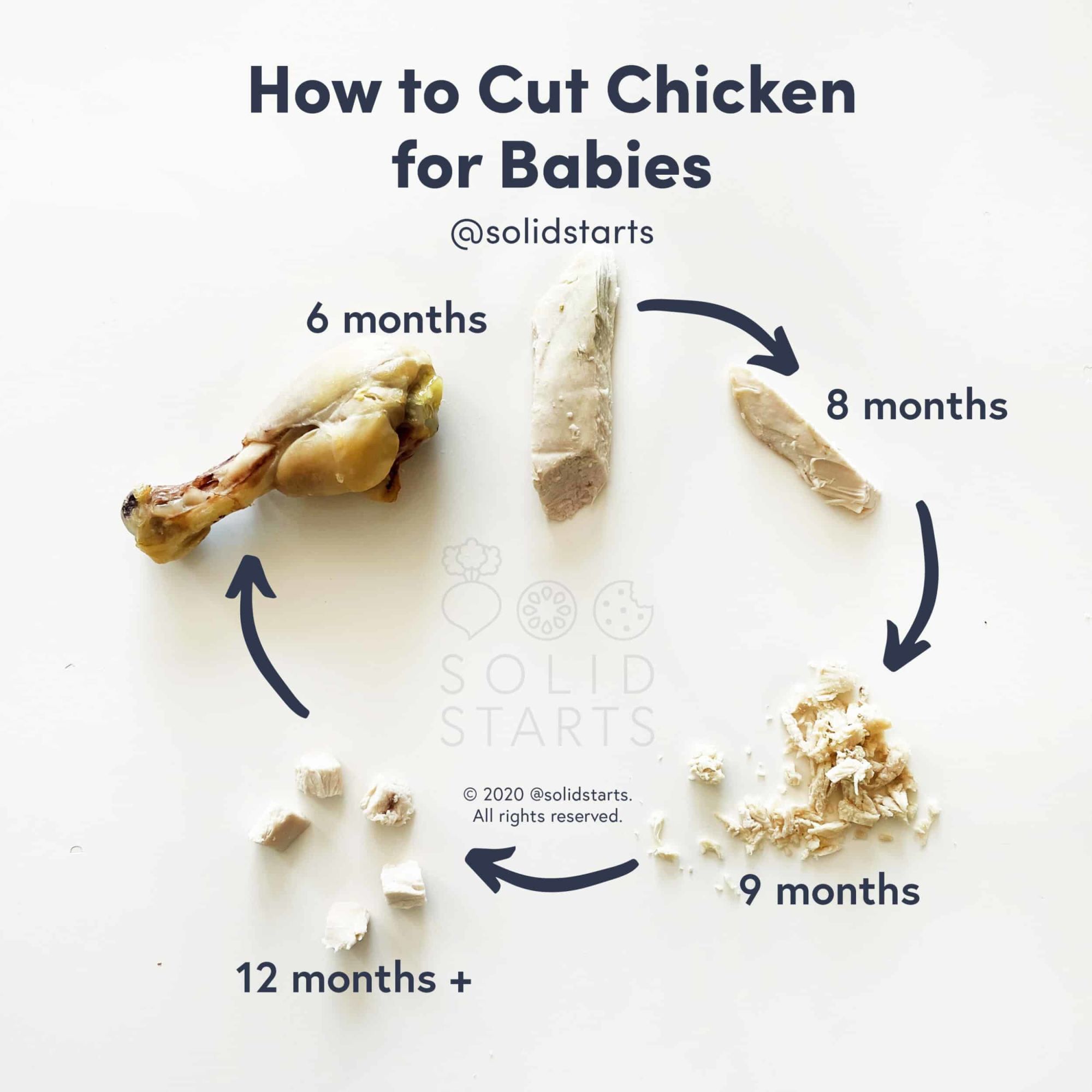 Solid Starts - How to introduce any food to babies