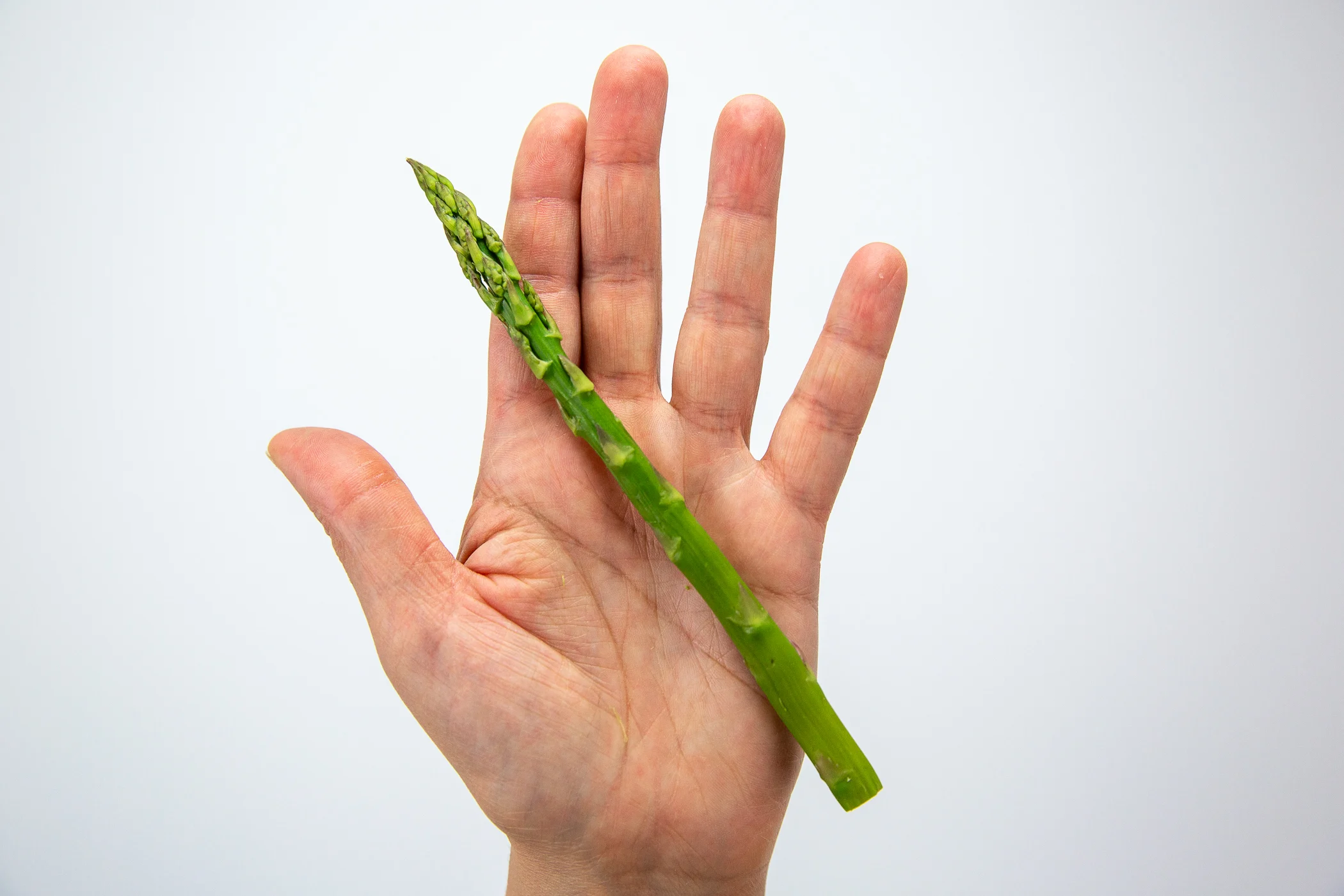 Asparagus whole spear hand pic