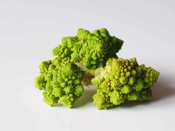 Romanesco florets on a table before being prepared for babies starting solid food