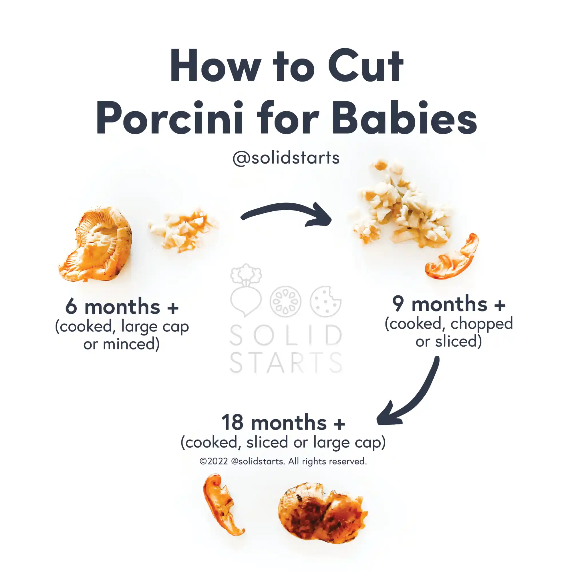 a Solid Starts infographic with the header How to Cut Porcini for Babies: cooked large cap or finely chopped for 6 months, cooked and chopped or sliced for 9 months, and cooked sliced or large cap for 18 months