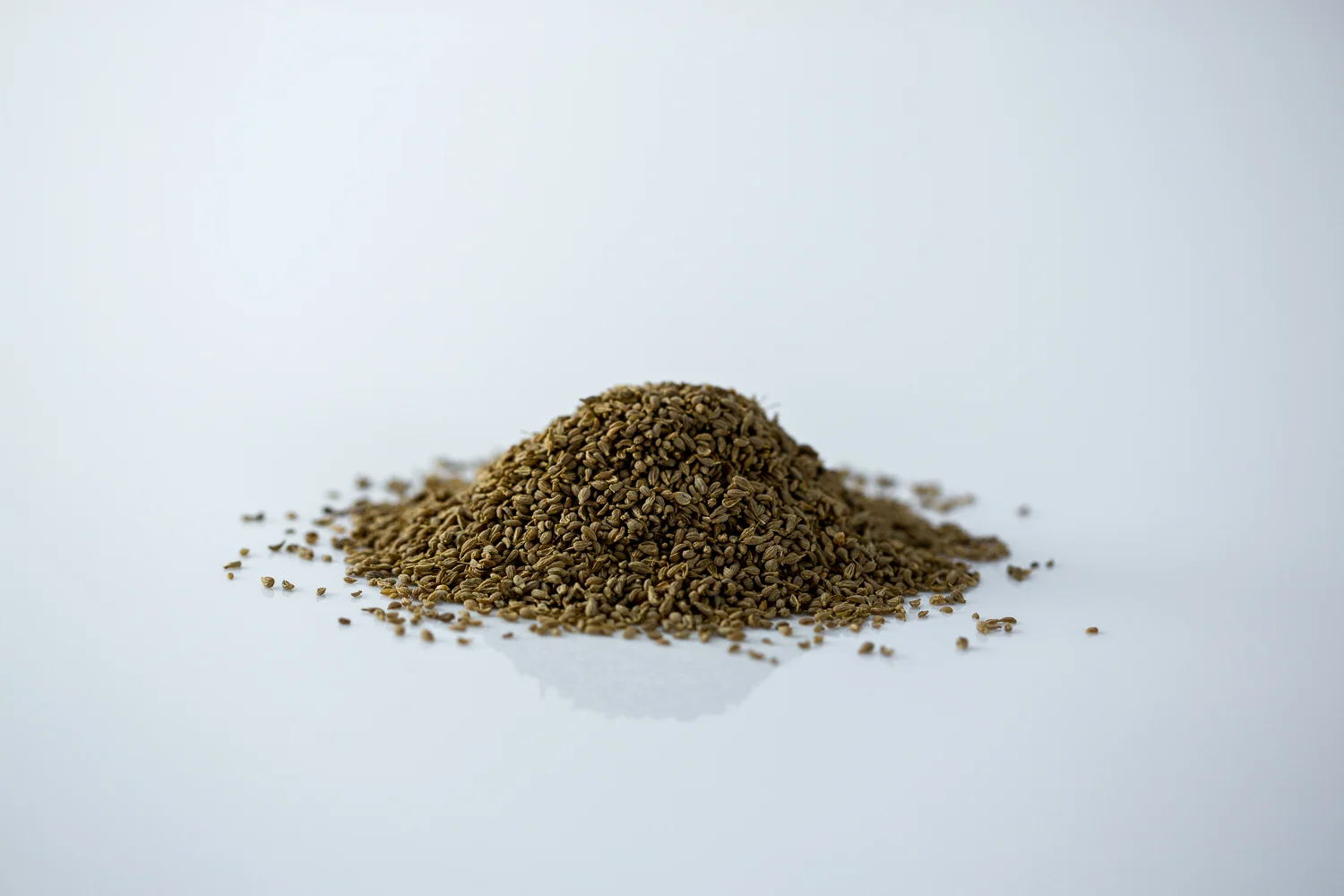a photograph of anise (aniseed)