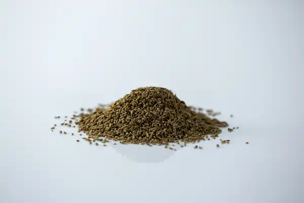Anise (Aniseed) for Babies a photograph of anise (aniseed)