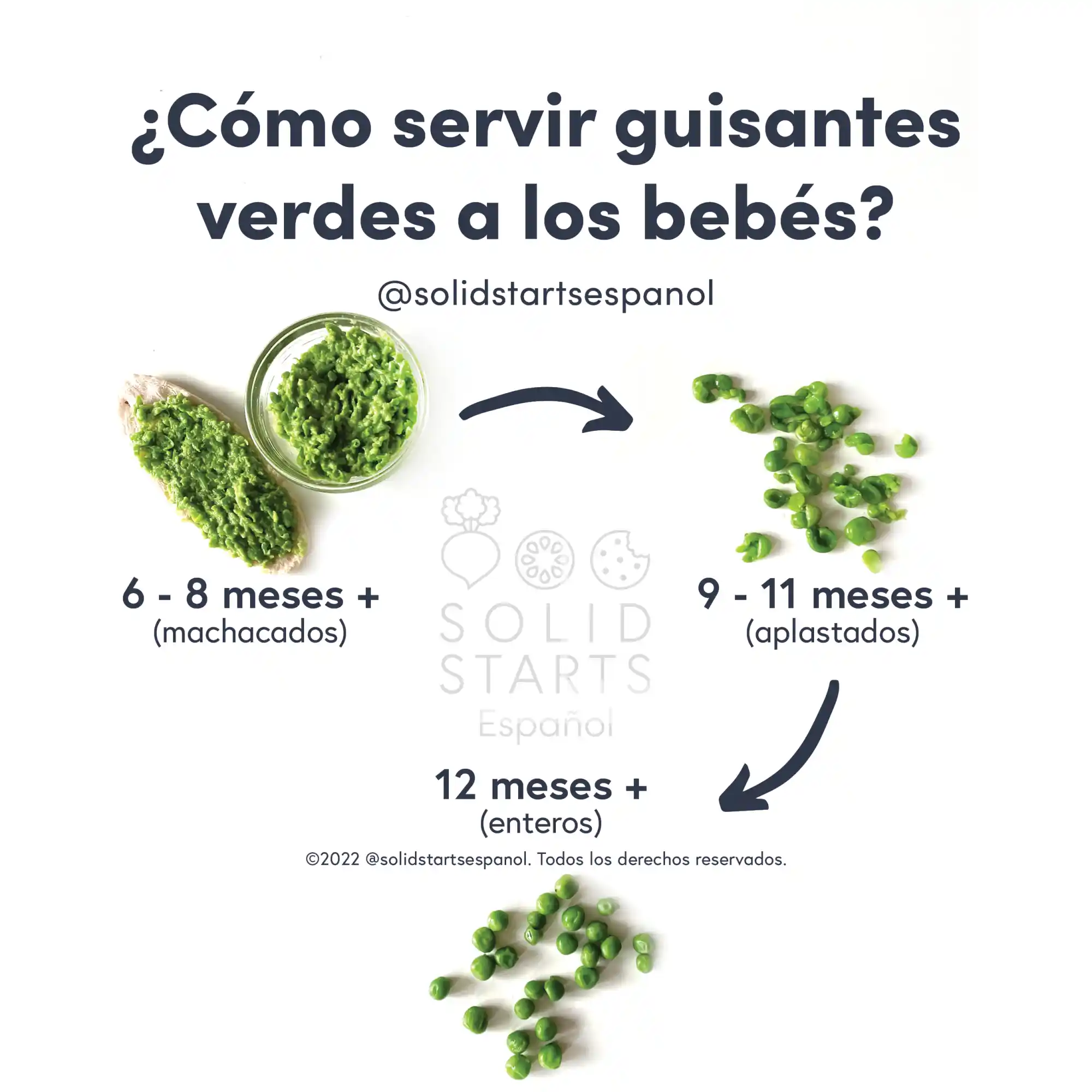 infographic showing how to offer peas to babies by age: blended into a mash for babies 6-8 months, flattened whole peas for babies 9-11 months, and whole peas for toddlers 12 months and older