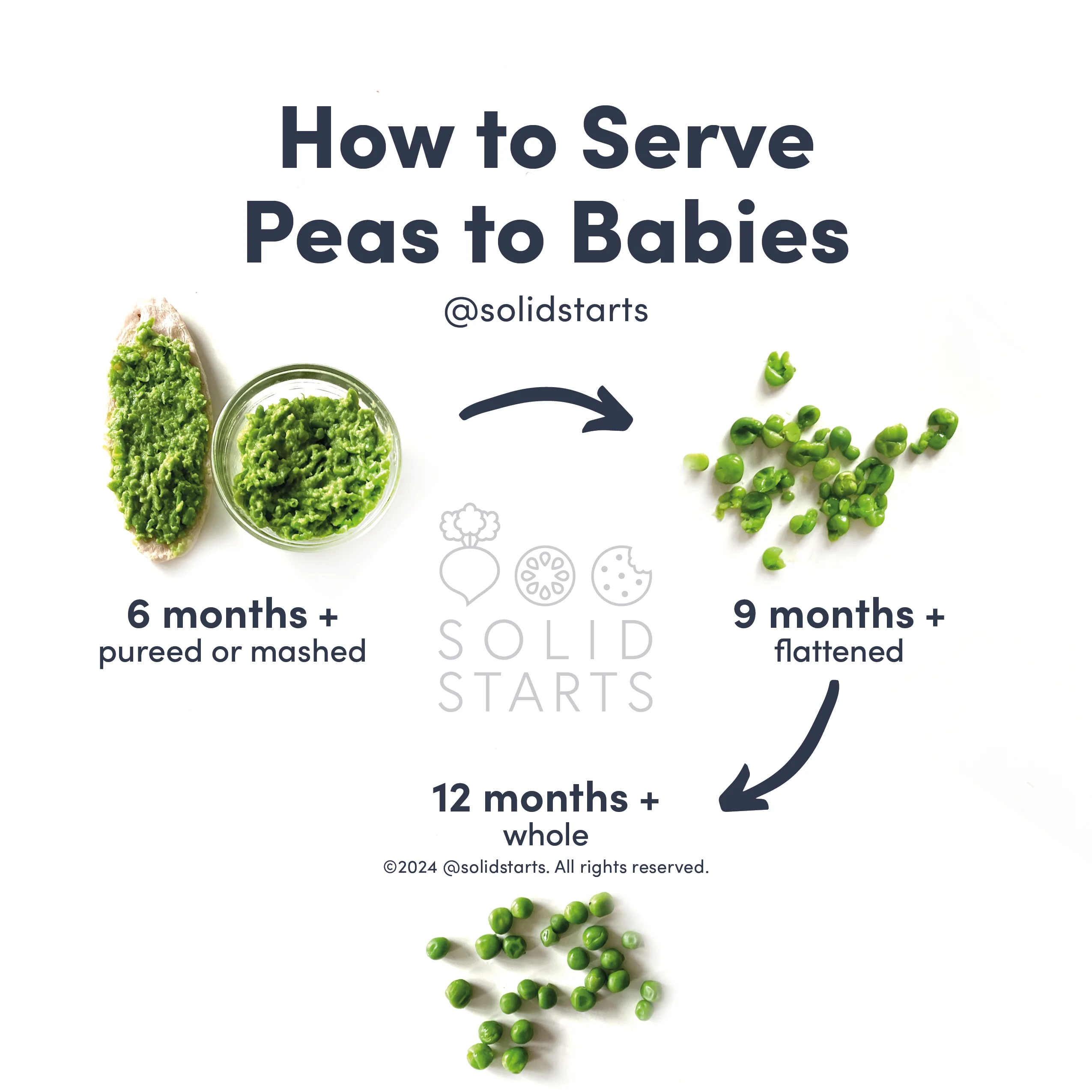 infographic showing how to offer peas to babies by age: blended into a mash for babies 6-8 months, flattened whole peas for babies 9-11 months, and whole peas for toddlers 12 months and older