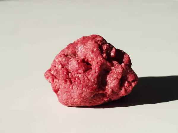 A ball of raw, ground bison meat before being prepared for babies starting solids