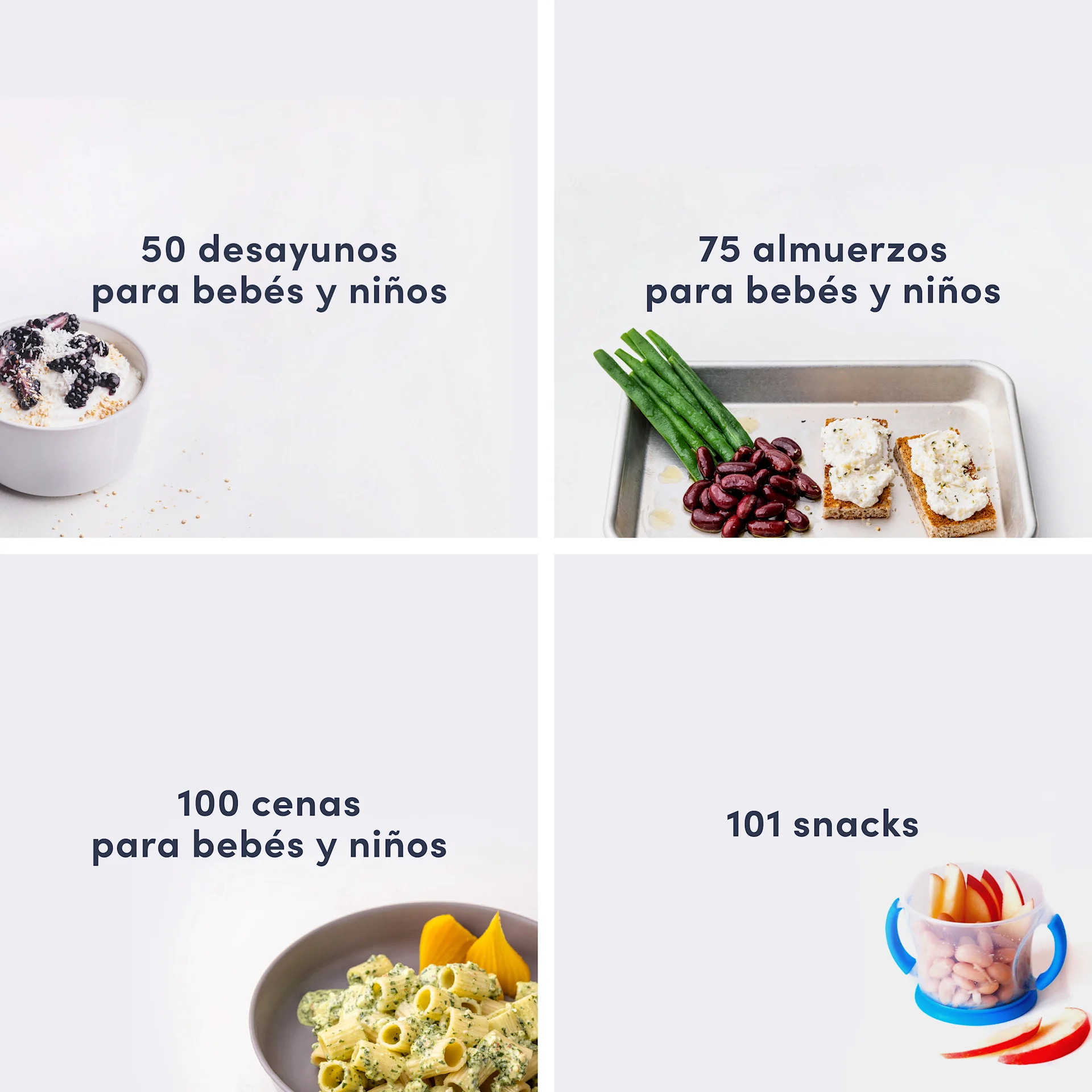 meal and recipe kit