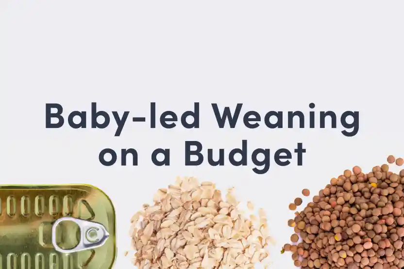 Baby-led weaning on a budget title