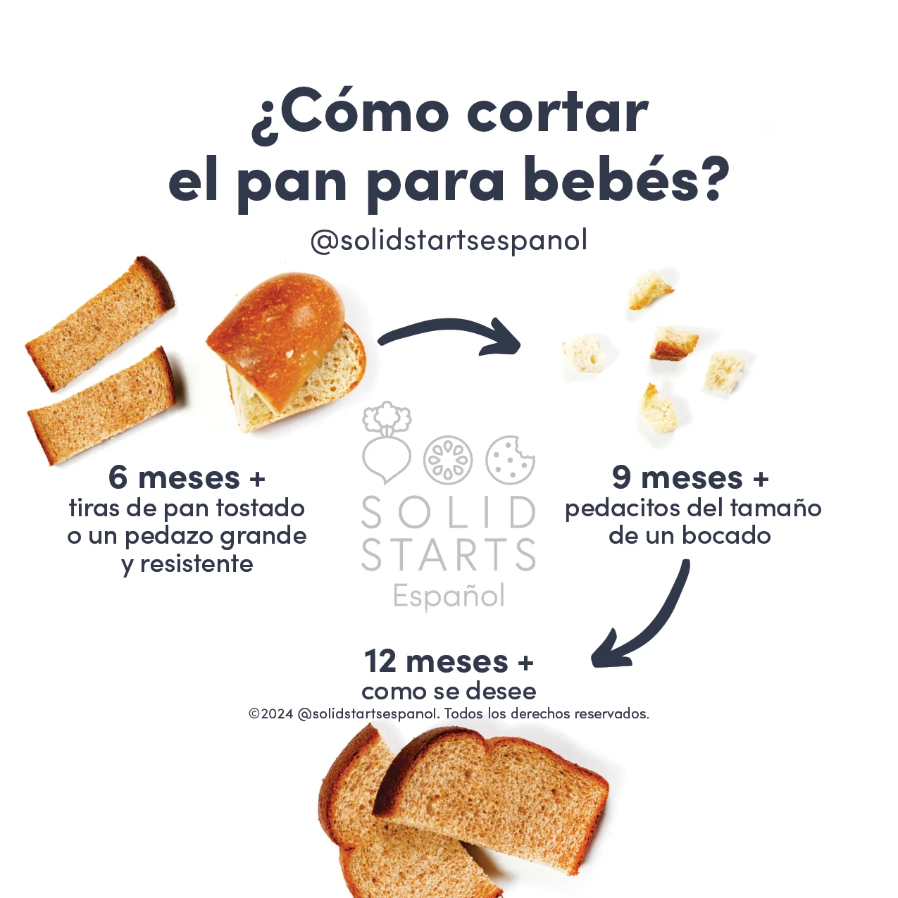 a Solid Starts infographic with the header How to Cut Bread for Babies:: large crusty ends for 6 mos+, bite-sized pieces for 9 mos+, and sandwich bread cut in half for 12 mos+