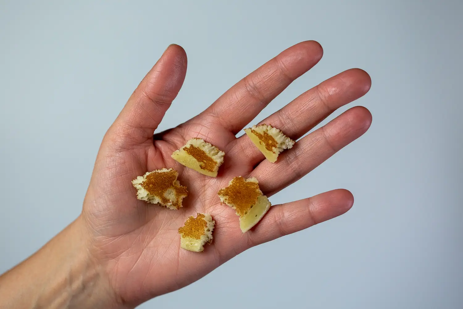 a hand holding five bite-sized pieces of pancake in the palm