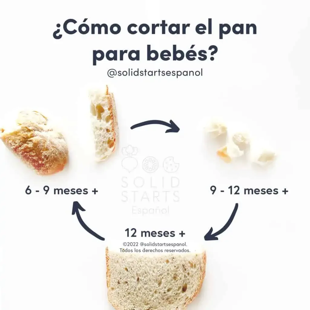 An infographic showing the sizes of bread by baby age: large ends or strips of bread at 6-9 months, bite size pieces from 9-12 months, and a half a piece of bread at 12 mos+