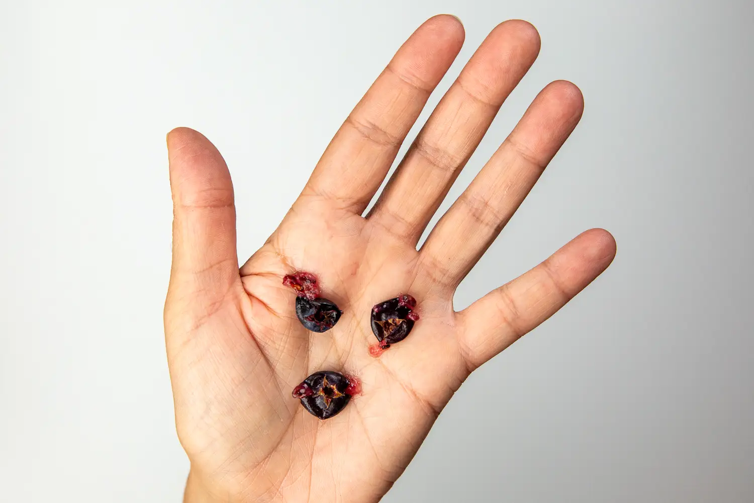 A photograph of a hand holding three flattened juneberries in the palm