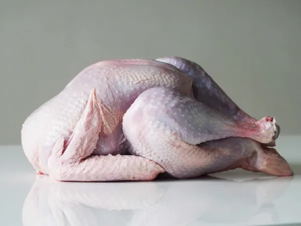 a whole raw turkey on a white background