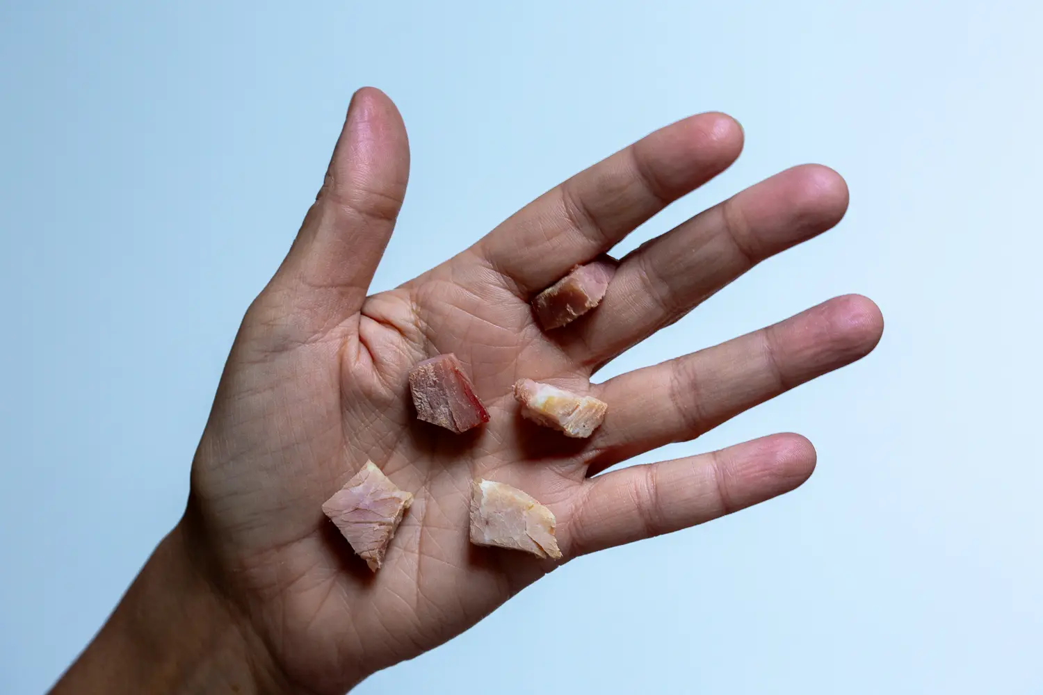 a hand holding bite-sized shreds of ham