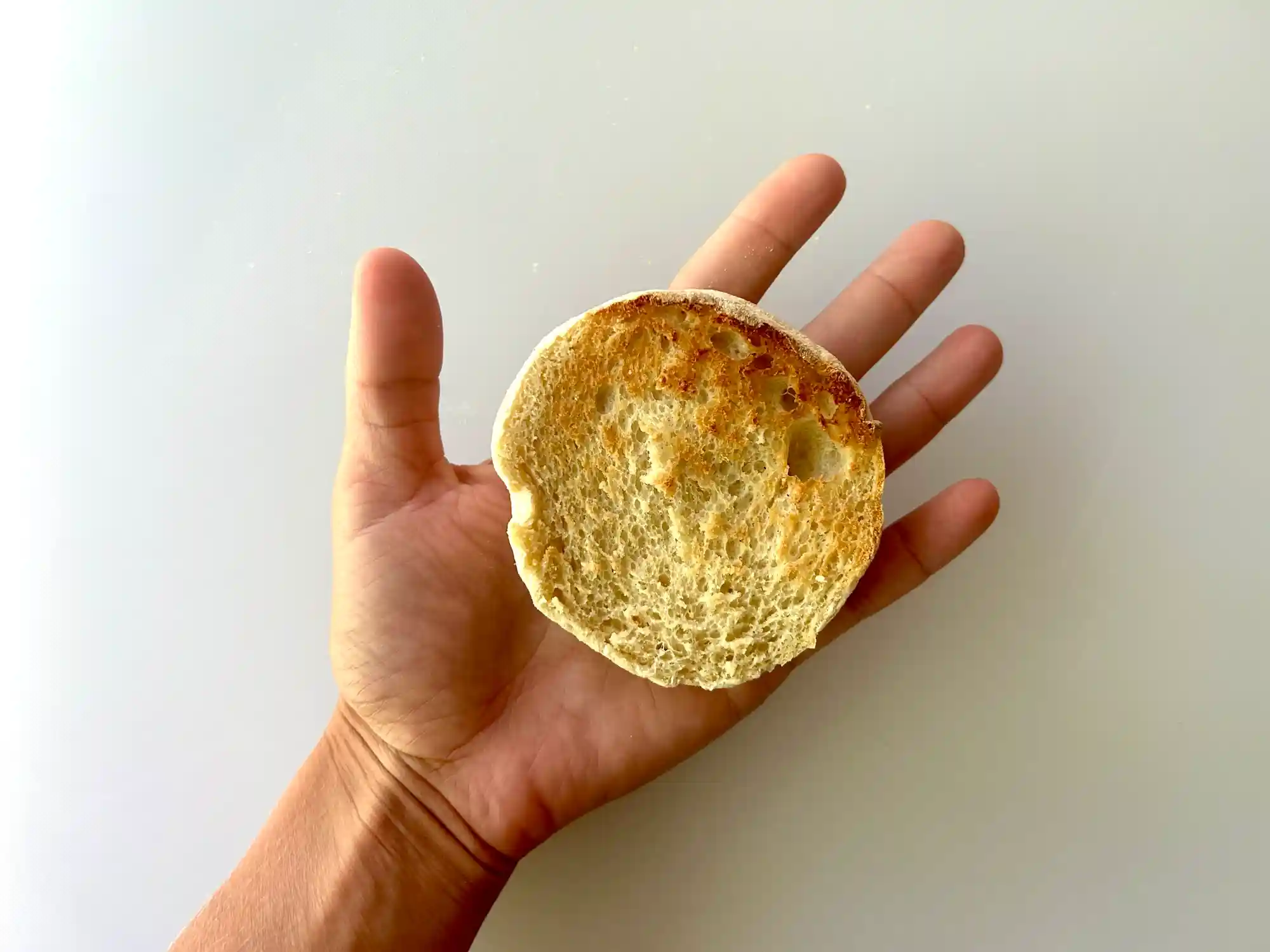 English muffin half hand pic a photograph of a hand holding a toasted english muffin half in the palm
