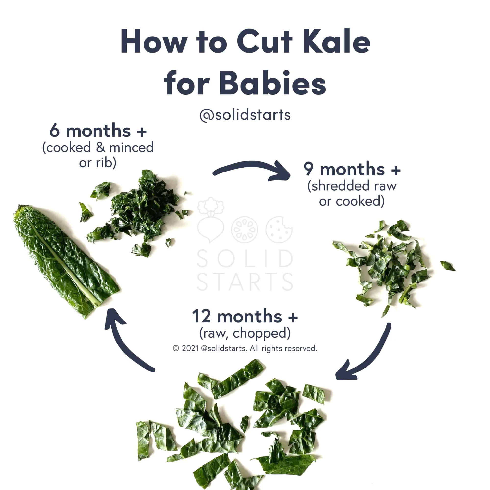 infographic showing how to cut kale for babies: cooked and minced kale or a whole rib for 6 months+, raw or cooked shredded kale for 9 months+, and raw chopped kale for 12 months +
