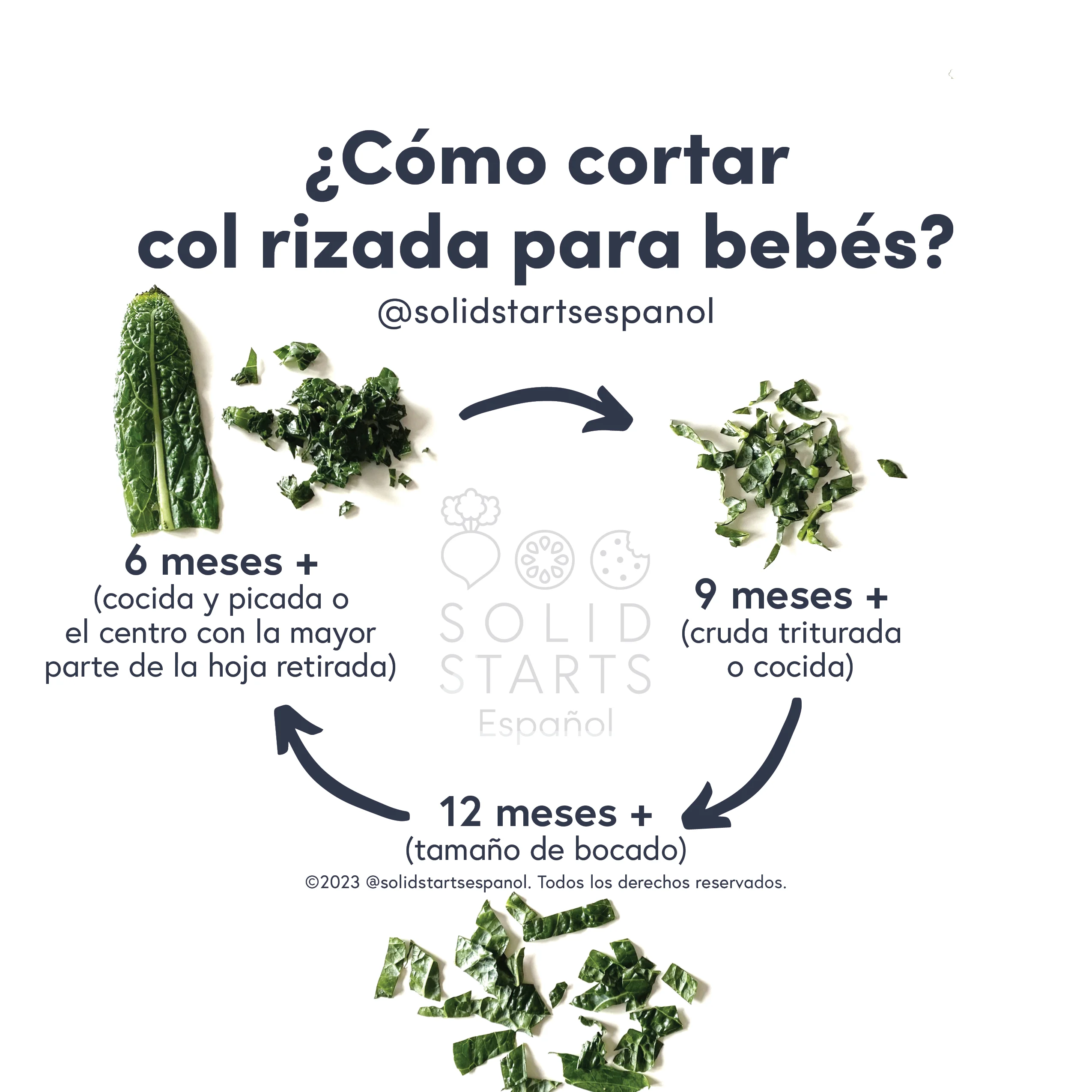 infographic showing how to cut kale for babies: cooked and minced kale or a whole rib for 6 months+, raw or cooked shredded kale for 9 months+, and raw chopped kale for 12 months +