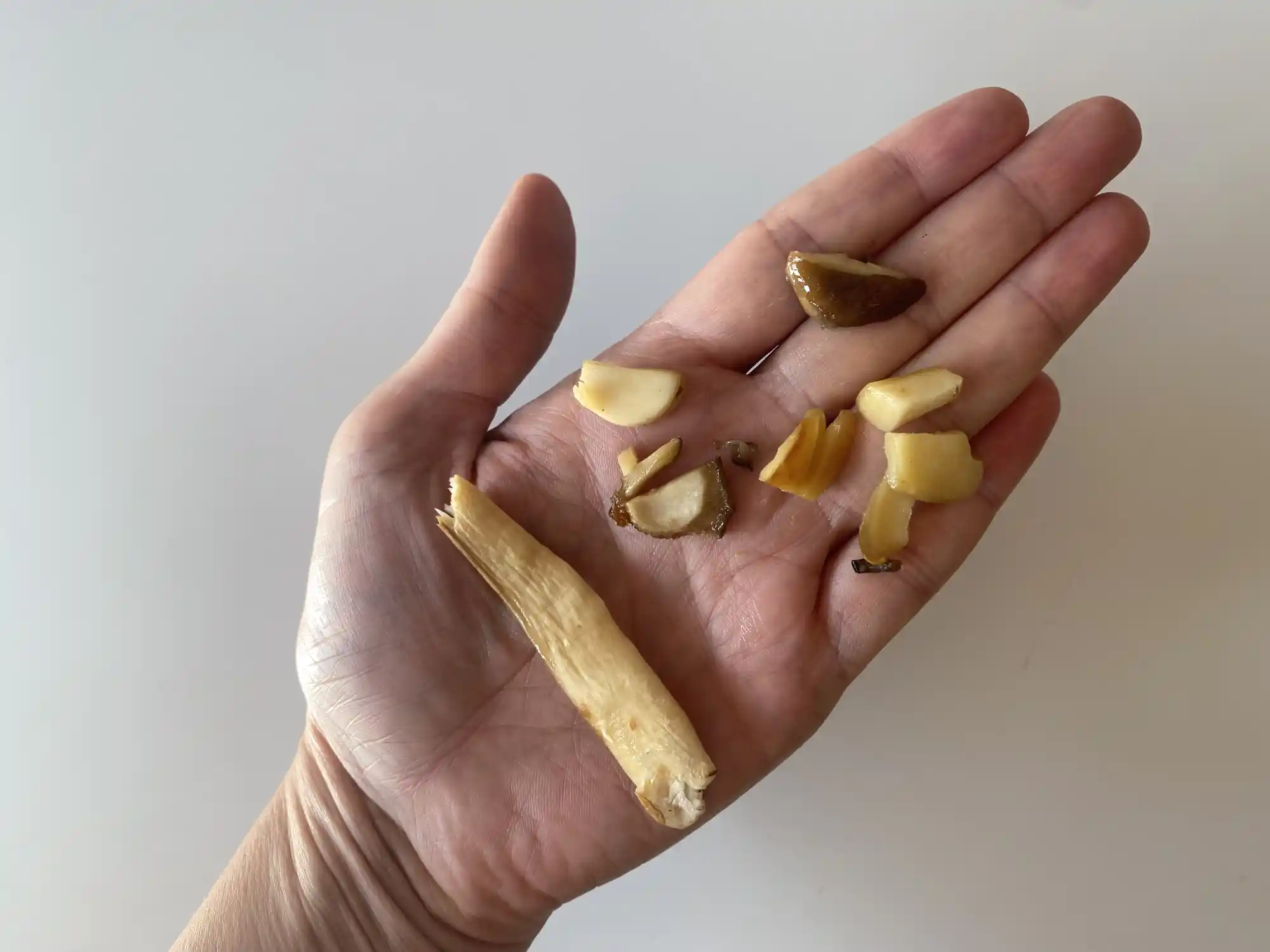 a hand holding a cooked king trumpet mushroom shred and chopped pieces