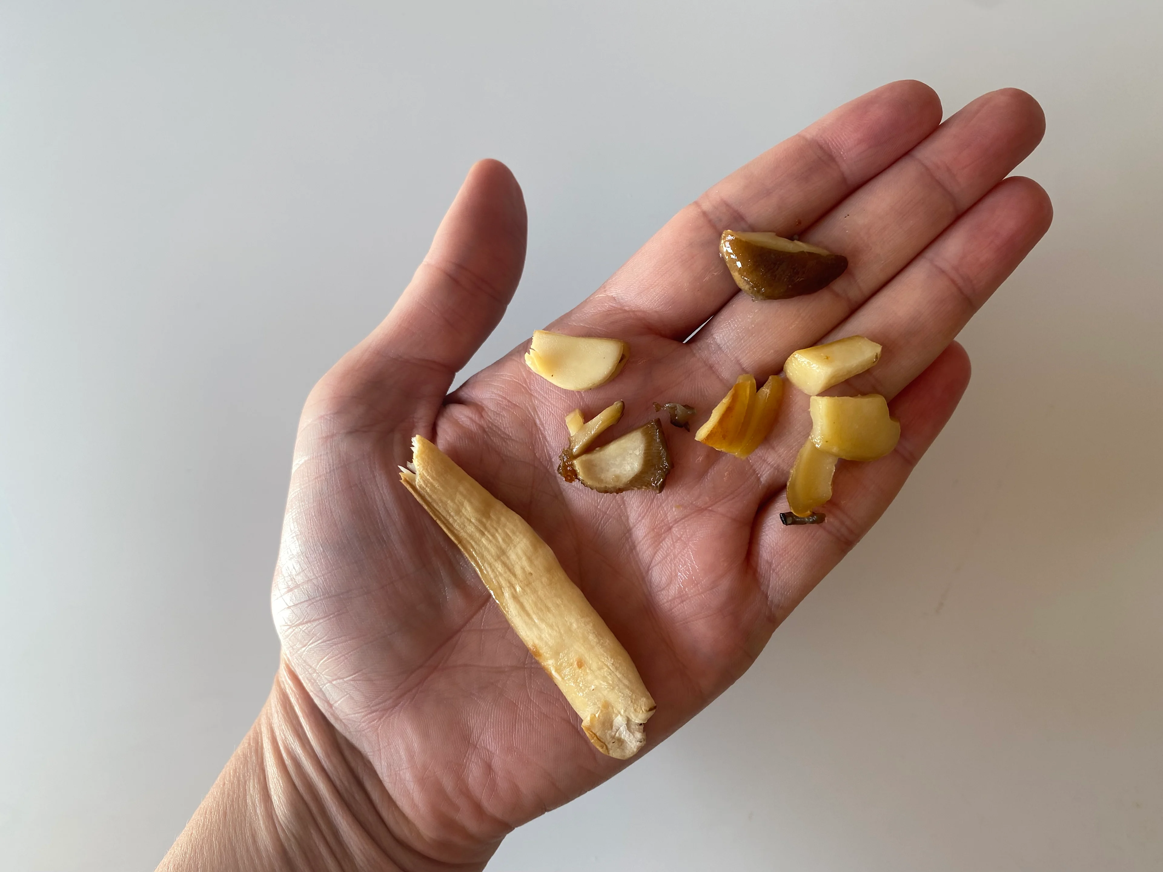king trumpet mushroom shreds and chopped